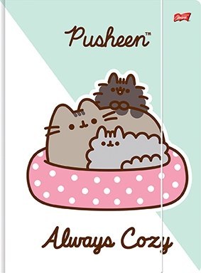 Teczka z Gumką Pusheen The Cat Kotek blok techniczny rysunko