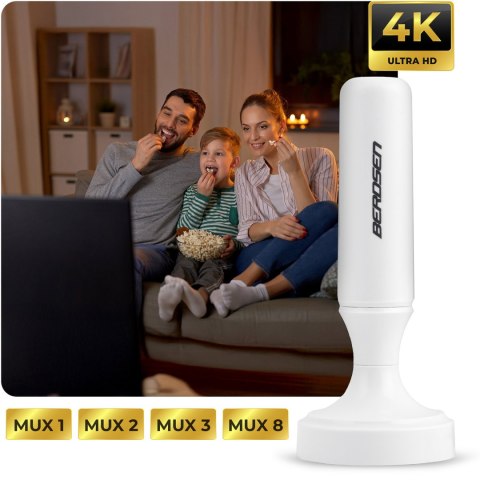 Antena wewnętrzna 360 stopni TV ultra HD 4K Berdsen BD-956 biała