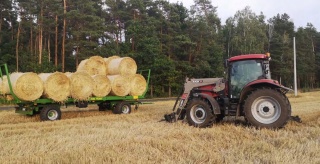 SŁOMA DO BUDY, WYŚCIÓŁKA DLA PSA, KUR, KRÓLIKA, Słoma na kompost XXL 80L